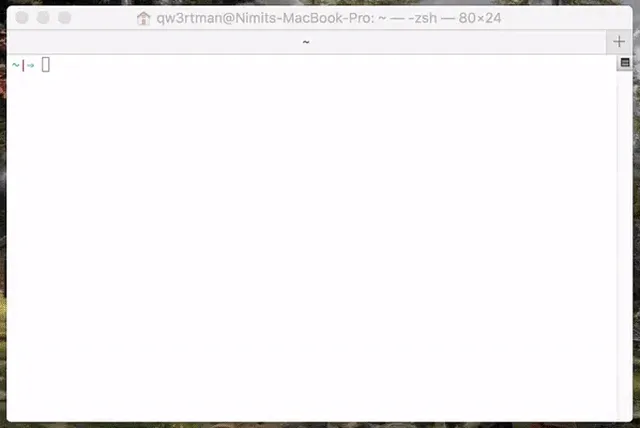 n Node.js version manager in action